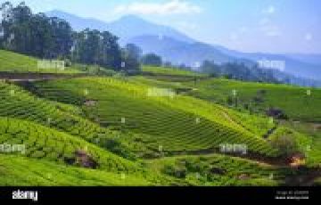 Ooty 6 night 7 days Tour package