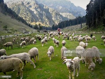 4 Days 3 Nights Gulmarg Vacation Package by Patron tour and travels