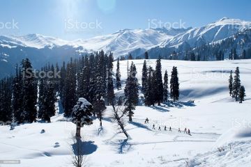 7 Days 6 Nights Kashmir valley tour package