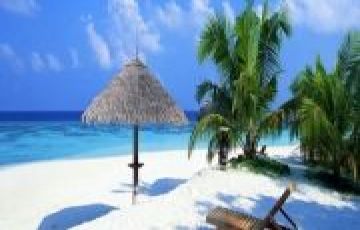 Munnar 2 night 3Days Budget Trip