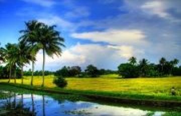 Munnar 2 night 3Days Budget Trip