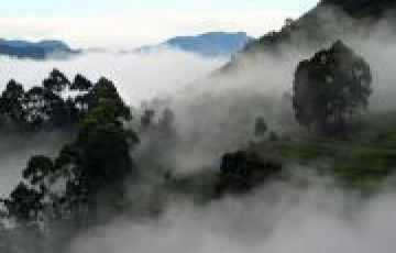 Tours Best Of Kodaikanal 2night Tour Package