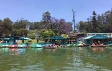 Ooty 3 Days 2 Night Trip Packages