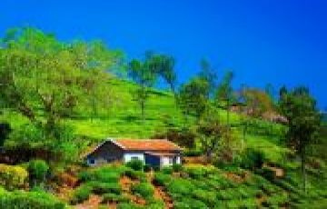 Ooty 3 Days 2 Night Trip Packages
