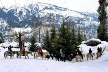 Manali Budget 4 Day 3 Nights