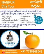 2 Days 1 Night Nagpur Tour Package by blueskytravels