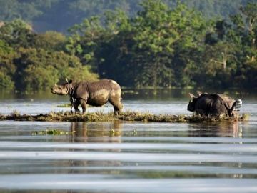 LATAGURI GORUMARA RESERVE FOREST JHALONG ROCKY I LAND 3 NIGHT 4 DAY