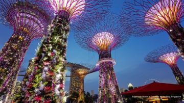 5 Days 4 Nights Sinagapore Vacation Package