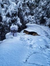 Manali 4 Days 3 Nights Tour Package