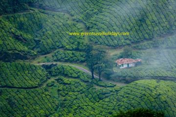 The Mix of Kerala Tour Package-Beach Hill Heritage and God itself!