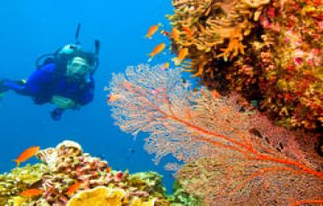 5 Days 4 Nights Port Blair Family Tour Package by WANDERFUL HOLIDAYS ANDAMAN