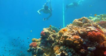 United Arab Emirates See & Experience it ALL in 6 Days, 1st Class Traveling