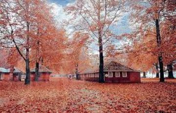 6 Days 5 Nights Kashmir Tour Package For Four Persons....Autumn Specials