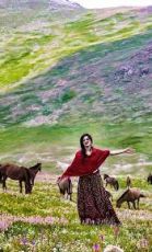 3 Nights 4 Days Best Honeymoon Package