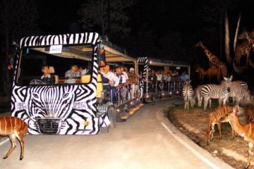 5 Days 4 Nights Singapore Tour Package by sasy tours and travels