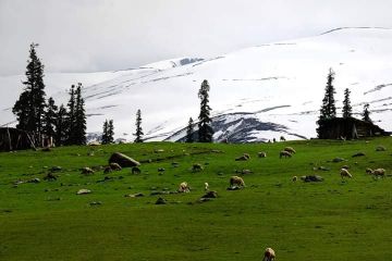SHAYAS SNOWY GULMARG 4 DAYS 3 NIGHTS