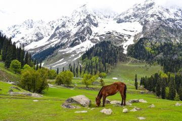 3 Nights 4 Days Enchanting Kashmir Package