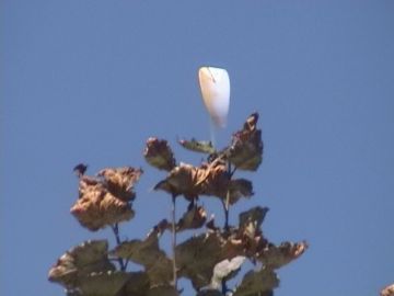 Romantic Manali Tour for young couple like you