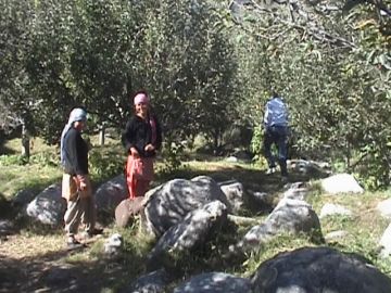 Romantic Manali Tour for young couple like you