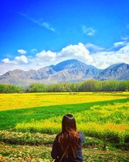 Kashmir package fun with family  and friends