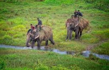 2 Days 1 Nights Chitwan Tour Package