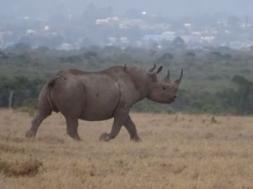 6 Days 5 Nights Nairobi to Amboseli National Park Tour Package