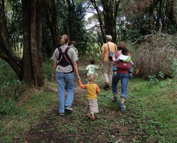 3 Day Gorilla Trekking Bwindi Impenetrable Forest NP