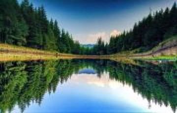 Shimla Kufri and Narkanda Manali Himachal package