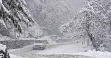 4 Nights 5 days Kashmir Honeymoon Package