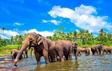 Explore Sri Lanka Tour 05 Nights & 06 Days