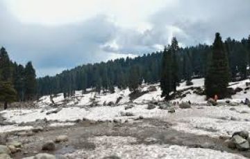 6 Days 5 Nights Srinagar Honeymoon Package by Patron tour and travel