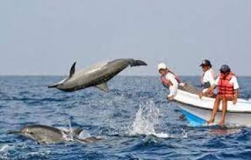 6 Days Goa Tour Package on Easy EMI