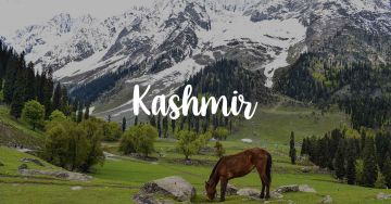 4 Days 3 Nights Srinagar Trip Package by mind curves tour and travels