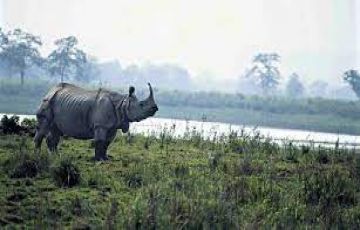 5 Days  Kaziranga Tour Package on Easy EMI.