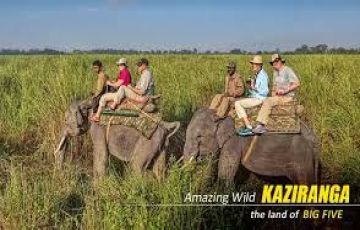 5 Days  Kaziranga Tour Package on Easy EMI.
