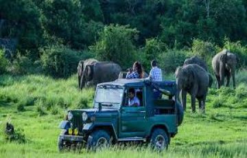 5 Days  Kaziranga Tour Package on Easy EMI.