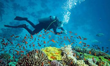 6 NIGHTS &  7 DAYS ANDAMAN HONEYMOON PACKAGE