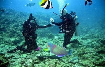 6 NIGHTS &  7 DAYS ANDAMAN HONEYMOON PACKAGE