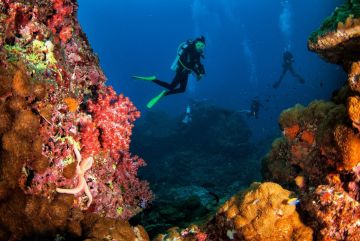 6 NIGHTS &  7 DAYS ANDAMAN HONEYMOON PACKAGE