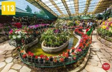 8 Days Sikkim Tour Package on Easy EMI.