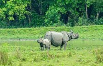 2 Days Assam Tour Package On Easy EMI.