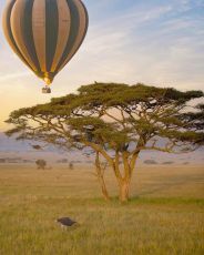 4 Days Nairobi to Nairobi-Maasai Mara Tour Package by FAVOUR WILDLIFE  SAFARIS