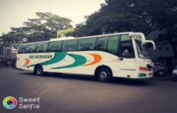 Family Getaway 3 Days Madurai to Kodaikanal Friends Holiday Packag