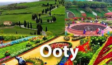 Ooty Cheap & Best Honeymoon Tour Package for 4 Days 3 Nights