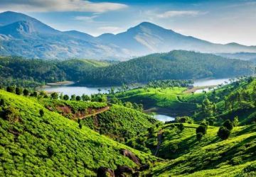 4 Days Cochin to munnar Honeymoon Trip Package Cochin Munnar  Alleppey