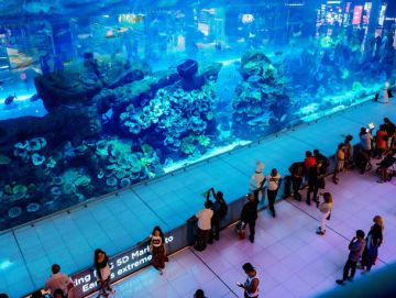 5 Dubai Family Holidays - 26, 755 per person - 3NT | Dubai Trip ...