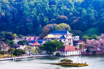 TOUR - KANDY + DAMBULLA + SIGIRIYA + ELEPHANT ORPHANAGE + COLOMBO  03 NIGHTS / 04 DAYS