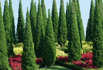 TOUR - KANDY + DAMBULLA + SIGIRIYA + ELEPHANT ORPHANAGE + COLOMBO  03 NIGHTS / 04 DAYS