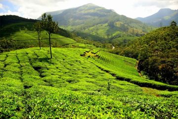 Kerala Honeymoon Package / Kerala Leisure package
