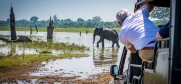 Serene Sri Lanka Vacation 9 Days 8 Nights full Package